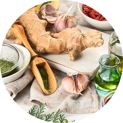 Essenzielle Substanzen für Körper und Geist